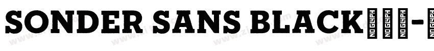 Sonder Sans Black免费下字体转换
